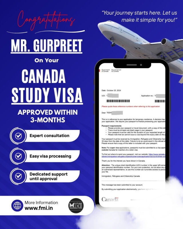 blue and white modern visa immigration support instagram post
